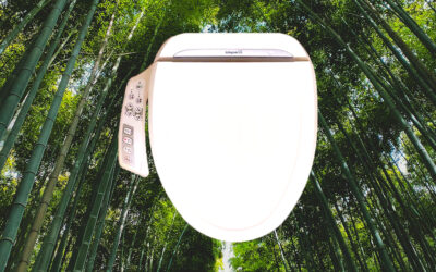 Les WC japonais, une innovation éco-responsable